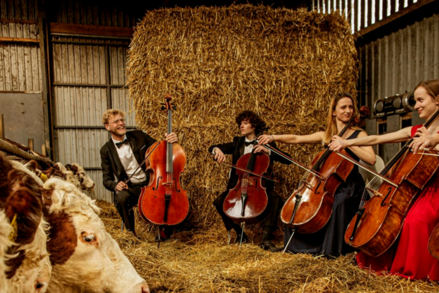 Where Music Grows Wins Audience Award at Krakow Film Festival